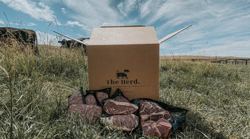 Filling your Freezer with Better Beef from The Herd.