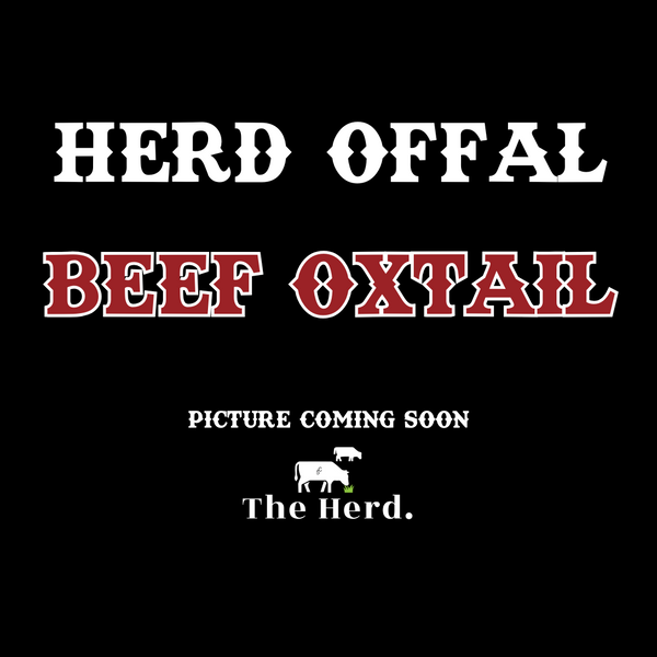 Beef Oxtail