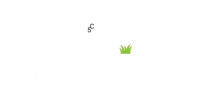 The Herd