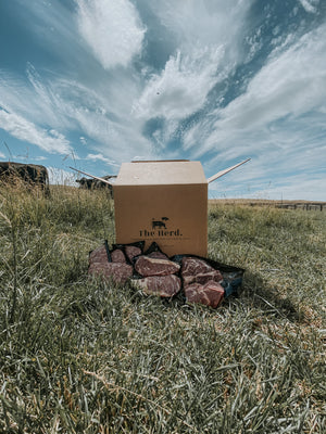 Filling your Freezer with Better Beef from The Herd.