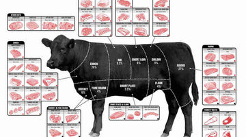 Breaking Down Bulk Beef