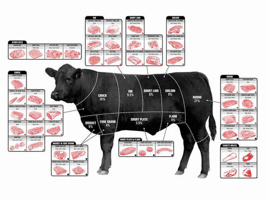 Breaking Down Bulk Beef – The Herd